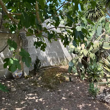 Casa vacanze Ines *